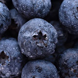  Blueberries 