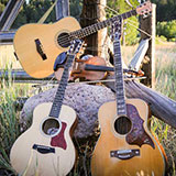  Bluegrass 