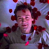  American Beauty 