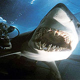  Deep Blue Sea 