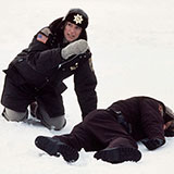  Fargo 