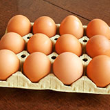  Dozen 