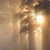 Haze 