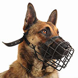  Muzzle 