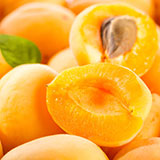 Apricot 