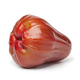  Bell Apple 