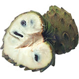  Cherimoya 