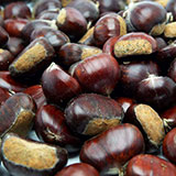  Chestnut 