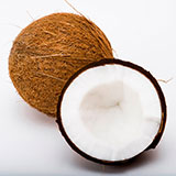  Coconut 