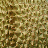  Durian 