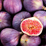  Fig 