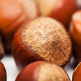  Hazelnut 