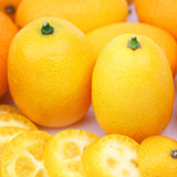  Kumquat 