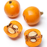  Loquat 