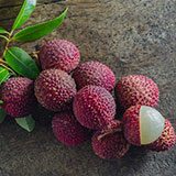  Lychee 