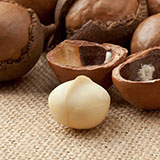  Macadamia Nut 