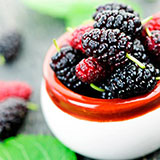  Mulberry 