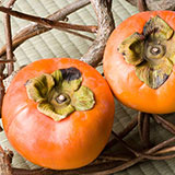  Persimmon 