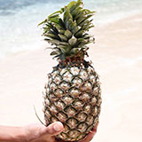  Pineapple 