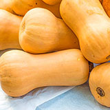  Squash 