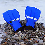  Flippers 