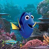  Finding Dory 