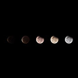  Lunar Eclipse 