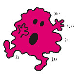  Jelly 