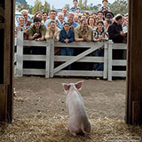  Charlottes Web 