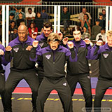  Dodgeball 