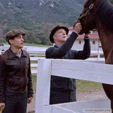  Seabiscuit 