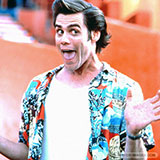  Ace Ventura 