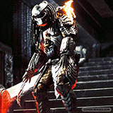  Predator 