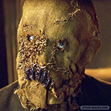  Scarecrow 