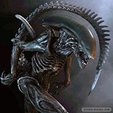  Xenomorph 