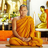  Meditate 