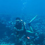  Scuba Dive 