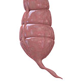  Appendix 