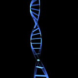  Dna 