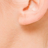  Earlobe 
