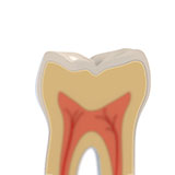  Enamel 