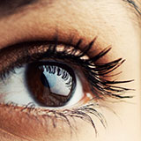  Eyelashes 