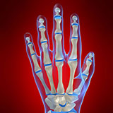  Hand 