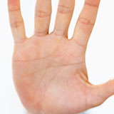  Palm 