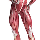  Quads 