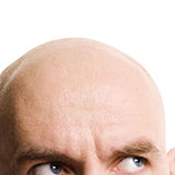  Scalp 