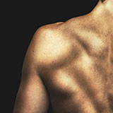  Shoulder 
