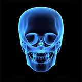  Skull 
