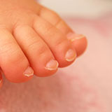  Toenail 