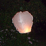  Chinese Lantern 